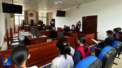 南林桥镇南林小学：“模拟小法庭”开课  让法治教育“活”起来