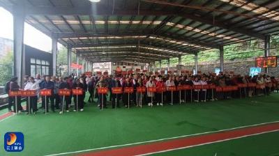 通山门委“长寿杯”门球赛圆满落幕