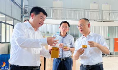 V视丨中国联通湖北省分公司领导到通山县调研乡村振兴工作