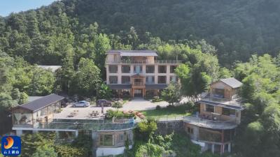 V视丨 通山“林上美宿”一房难求  山居生活成游客“心归处”