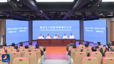 V视丨通山举办《通山县打造新型绿色能源先行区》新闻发布会