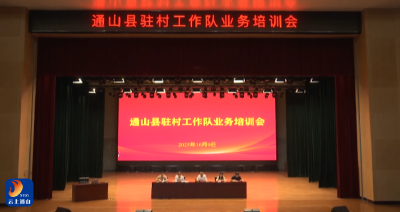 V视丨通山县召开2025年驻村工作队业务培训会