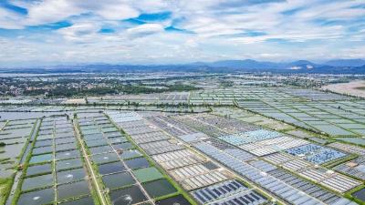 时政微观察丨以宏伟蓝图引领高质量发展