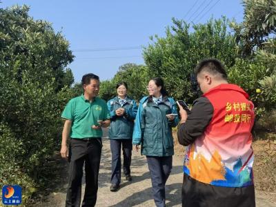 果园变直播间！通山邮政村播助农增收