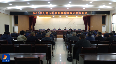 V视丨九宫山毗邻乡镇森林防火联防会召开