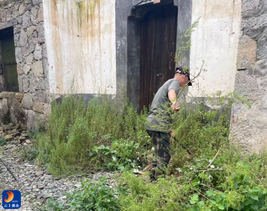 九宫山国家级自然保护区启动外来入侵物种专项清理行动