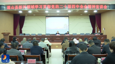 【学习贯彻党的二十届四中全会精神】V视丨通山县新兴领域学习贯彻党的二十届四中全会精神宣讲会召开