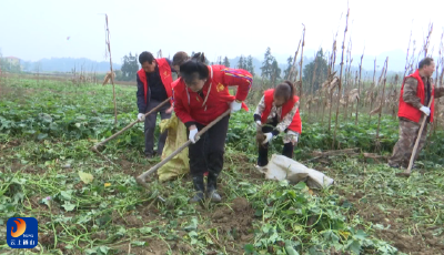“群众点单”解民忧 六载义举暖人心