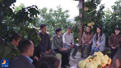 【学习贯彻党的二十届四中全会精神】V视丨通山：地头宣讲连通群众心头