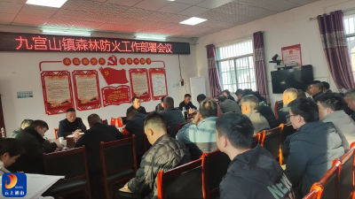九宫山镇专题部署护林防火工作：干群齐动员 全面清火患