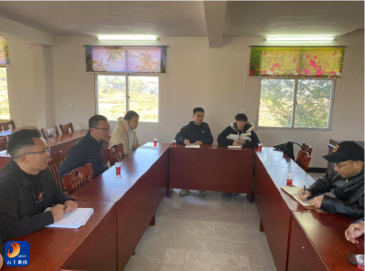 南林桥镇：牵手武大团队 绘就重点乡镇“十五五”发展新蓝图