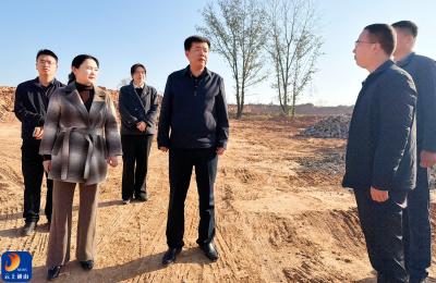 V视丨吴涛督导电子信息产业园建设工作