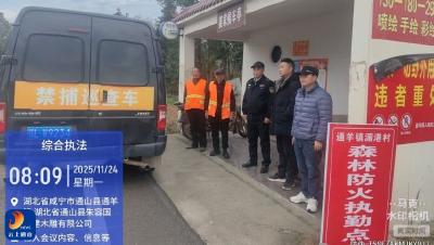 通羊镇：党员带头守青山 森林防火显担当