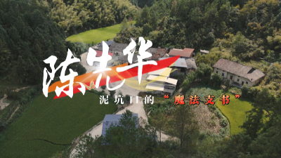 陈先华：泥坑口的“魔法支书”