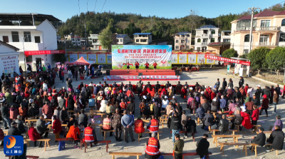 V视丨台上演新风 台下解民需——村民乐享“文艺+服务”大礼包