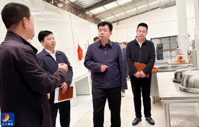 V视丨吴涛深入乡镇督导“群腐”整治及农业农村重点工作 以实干成效守护民生福祉