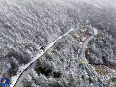 咸宁通山：九宫山雾凇上线 秋韵冬景相映成趣