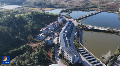 V视丨【清洁家园在行动】燕厦乡北冲村：清扫评比双驱动 村民共治靓村湾