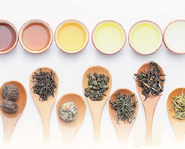 六大茶类有何区别？如何品味不同的茶？