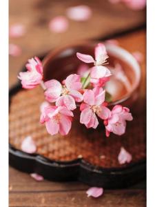 【凤池夜读】第960期丨阮风帆朗读《当你开始写诗》 