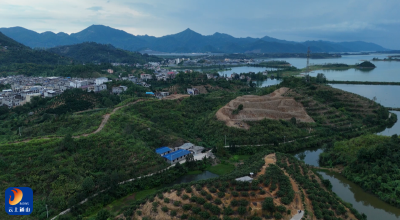 V视丨通山县按下枇杷产业核心区“三产”融合发展“快进键”