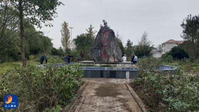 【清洁家园在行动】大畈镇：美丽乡村“颜值”“内涵”双提升 