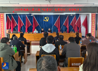 杨芳林乡：“临掌柜”电商培训为残疾人铺就“增收路” 