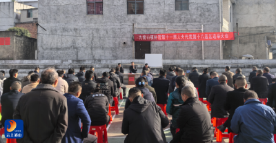 九宫山镇圆满完成第十一届人大代表补选