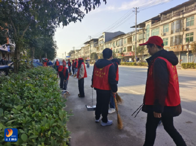 南林桥镇：党建引领践初心 人居环境焕新颜