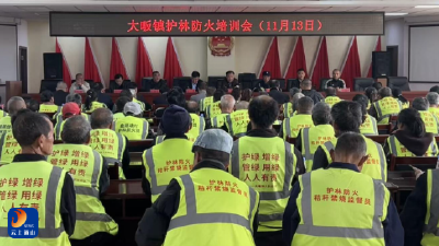 大畈镇：召开护林防火工作培训会 