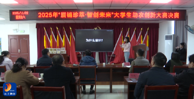 V视丨“智创未来”青年力量赋能 厦铺镇乡村振兴注入新动能