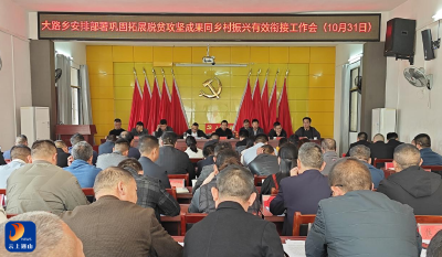 大路乡：强化统筹部署  巩固脱贫成果