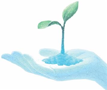 1亿粒种子，这样“备份”