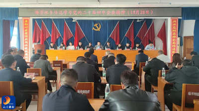 【学习贯彻党的二十届四中全会精神】杨芳林乡传达学习贯彻党的二十届四中全会精神