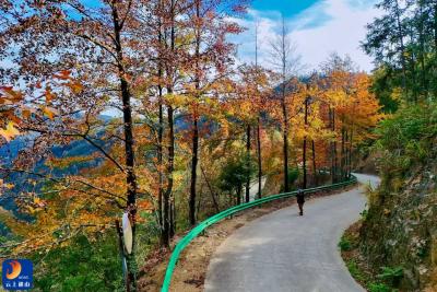 通山秋韵：邂逅最后一抹斑斓