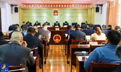 V视丨县十九届人大常委会第二十九次会议召开 决定任命王功辉为通山县人民政府代理县长