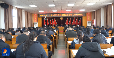 V视丨通羊镇第二十届人民代表大会第五次会议胜利召开