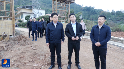 【学习贯彻党的二十届四中全会精神】V视丨省红十字会赴通山县调研乡村振兴工作