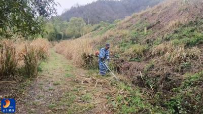 九宫山镇：筑牢森林“防火墙” 守护绿水青山