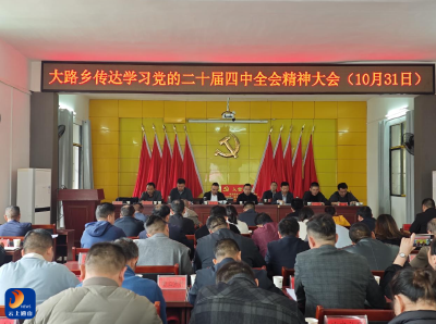 【学习贯彻党的二十届四中全会精神】大路乡：深入学习贯彻党的二十届四中全会精神 