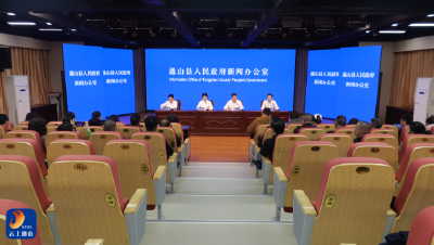 V视丨通山举办《通山县“打造优质医疗服务”工作概况》新闻发布会