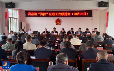 洪港镇：打响征收攻坚战 织密民生保障网