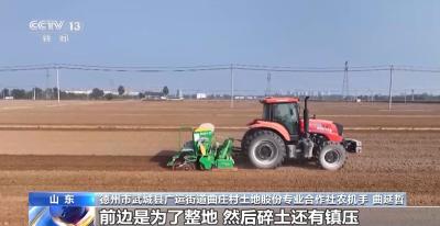 全国冬小麦播种过八成 各地抢抓农时推进秋冬种