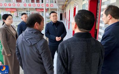 V视丨王功辉赴九宫山镇调研：秉持“万事有解”攻坚理念 筑牢治理根基 赋能民生产业双提升