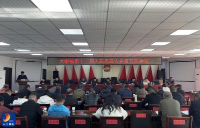 大畈镇第十一届人民代表大会第五次会议胜利召开