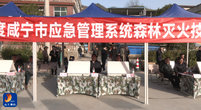 V视丨全市应急管理系统举行森林灭火技能比武竞赛