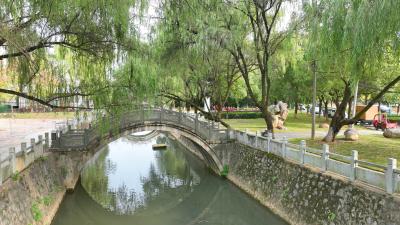 通山：聚万人心 靓一座城