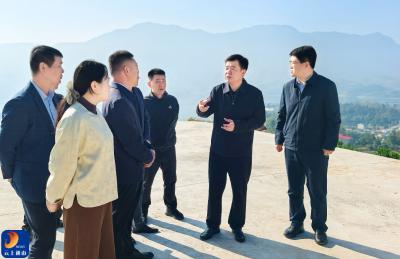 V视丨吴涛赴慈口乡调研柑橘蜜梨产业发展时强调：深化联农带农机制 推动产业提质融合 