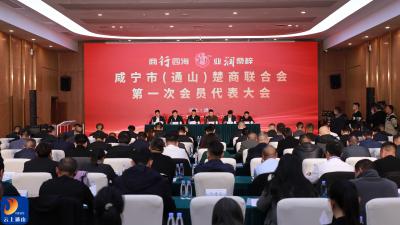 V视丨咸宁市（通山）楚商联合会正式成立 助推县域经济高质量发展