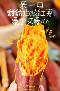 明天立冬，要对2025的秋天说再见了